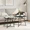 vidaXL Side Table Set of 2 - Black Oak Engineered Wood and Metal