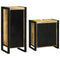 vidaXL Bathroom Furniture Set with Door 2 pcs Brown Solid Mango Wood