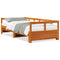 vidaXL Daybed without Mattress Wax Brown 90x190 cm Solid Wood Pine