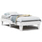 vidaXL Bed Frame without Mattress White 100x200 cm Solid Wood Pine