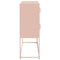 vidaXL Sideboard Pink 100.5x39x107 cm Cold-rolled Steel