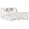 vidaXL Bookcase Bed without Mattress White 200x200 cm Solid Wood Pine