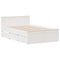 vidaXL Bookcase Bed without Mattress White 135x190 cm Double Solid Wood Pine