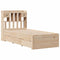 vidaXL Bookcase Bed without Mattress 100x200 cm Solid Wood Pine
