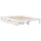 vidaXL Bed Frame without Mattress White 160x200 cm Solid Wood Pine
