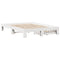 vidaXL Bed Frame without Mattress White 160x200 cm Solid Wood Pine