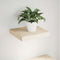 vidaXL Floating Shelf 23x23.5x4 cm Engineered Wood
