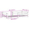 vidaXL Bed Frame without Mattress 100x200 cm Solid Wood Pine