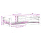vidaXL Bed Frame without Mattress White 80x160 cm Solid Wood Pine