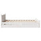 vidaXL Bed Frame without Mattress White 150x200 cm King Size Solid Wood Pine