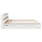 vidaXL Bookcase Bed without Mattress White 200x200 cm Solid Wood Pine