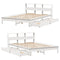 vidaXL Bookcase Bed without Mattress White 150x200 cm King Size Solid Wood Pine