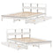vidaXL Bookcase Bed without Mattress White 140x200 cm Solid Wood Pine