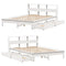 vidaXL Bookcase Bed without Mattress White 120x200 cm Solid Wood Pine