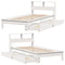 vidaXL Bookcase Bed without Mattress White 100x200 cm Solid Wood Pine
