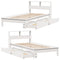 vidaXL Bookcase Bed without Mattress White 90x200 cm Solid Wood Pine
