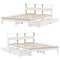 vidaXL Bookcase Bed without Mattress White 140x190 cm Solid Wood Pine
