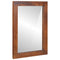 Bathroom Furniture with Door 3 pcs 38 x 33 x 160 cm Solid Mango Wood