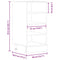 vidaXL Bottom Cabinet Riga Old Wood 40x44.5x81.5 cm Engineered Wood