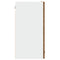 vidaXL Kitchen Wall Cabinet Lyon with Glass Door Old Wood 60x31x60 cm