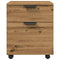 vidaXL Mobile File Cabinet with Wheels Artisan Oak 45x38x54 cm Engineered Wood
