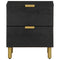 vidaXL Bedside Cabinet Black 40x33x46 cm Solid Wood Mango