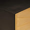 vidaXL Coffee Table Black and Gold 80 x 50 x 40 cm