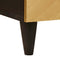 vidaXL Bedside Table Black and Gold 50 x 33 x 60 cm Solid mango wood
