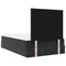 vidaXL Ottoman Bed with Mattresses Black 120x200cm Velvet