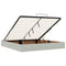 vidaXL Ottoman Bed with Mattresses Light Grey 180x200cm Velvet