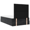 vidaXL Ottoman Bed with Mattresses Black 120x200cm Velvet