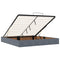 vidaXL Ottoman Bed with Mattresses Dark Grey 160x200cm Velvet