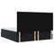 vidaXL Ottoman Bed with Mattresses Black 160x200cm Velvet
