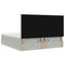 vidaXL Ottoman Bed with Mattresses Light Grey 180x200cm Velvet