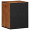 vidaXL Bathroom Cabinet Brown 38 x 33.5 x 48 cm Solid Mango wood
