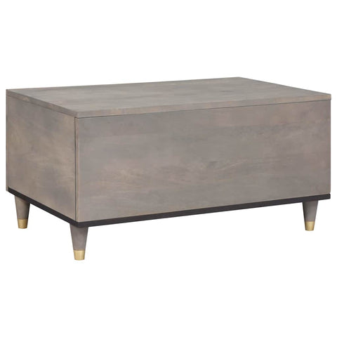 vidaXL Coffee Table Grey 80 x 50 x 40 cm Solid mango wood
