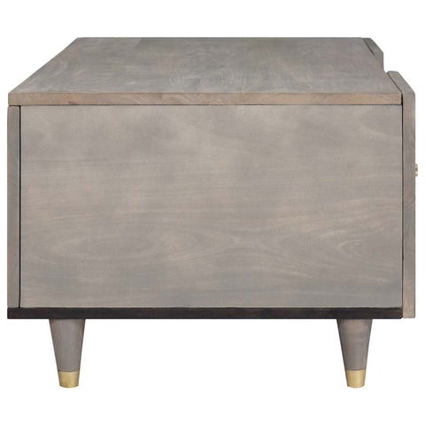 vidaXL Coffee Table Grey 100 x 54 x 40 cm Solid mango wood