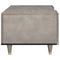 vidaXL Coffee Table Grey 100 x 54 x 40 cm Solid mango wood