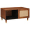 vidaXL Coffee Tables Brown 80 x 50 x 40 cm Cane and solid mango wood