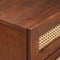 vidaXL Bedside Tables Brown 50 x 33 x 60 cm Cane and solid mango wood
