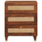 vidaXL Bedside Tables Brown 50 x 33 x 60 cm Cane and solid mango wood