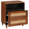 vidaXL Bedside Tables Brown 50 x 33 x 60 cm Cane and solid mango wood
