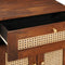 vidaXL Bedside Tables Brown 50 x 33 x 60 cm Cane and solid mango wood