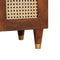 vidaXL Bedside Tables Brown 50 x 33 x 60 cm Cane and solid mango wood