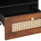 vidaXL Coffee Tables Brown 80 x 54 x 40 cm Cane and solid mango wood