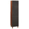 vidaXL Sideboard with Drawer with Shelf Brown 38 x 33.5 x 160 cm