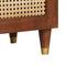 vidaXL Sideboard Brown 60 x 33.5 x 75 cm Cane and solid mango wood