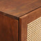 vidaXL High board Brown 40 x 33.5 x 110 cm Cane and solid mango wood