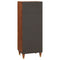 vidaXL High board Brown 40 x 33.5 x 110 cm Cane and solid mango wood