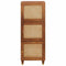 vidaXL High board Brown 40 x 33.5 x 110 cm Cane and solid mango wood